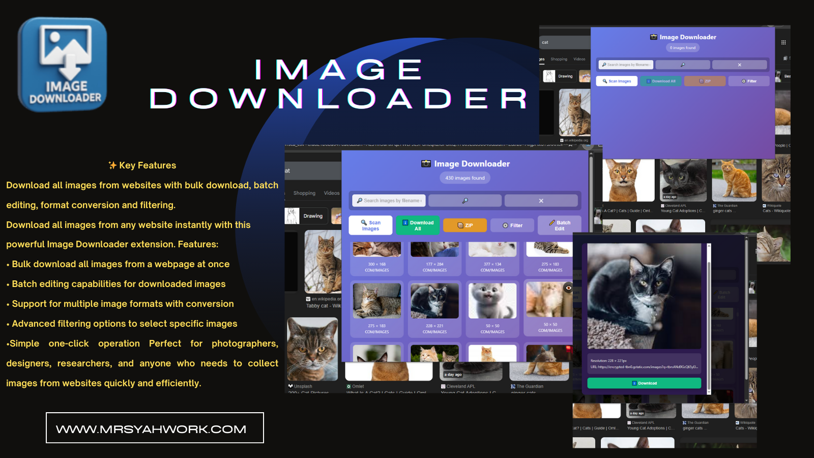 Image Downloader